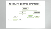 MPMD1.1 - Projects, Programmes & Portfolios